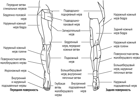 Pin page