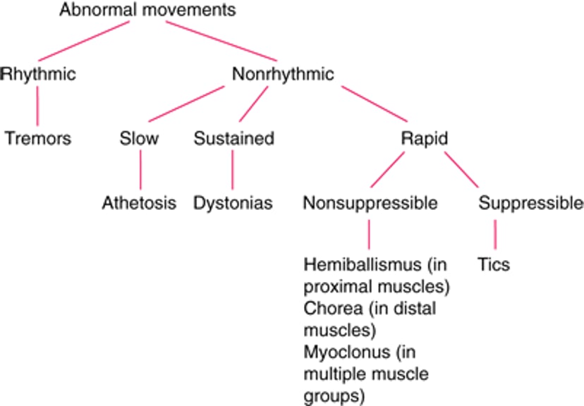 Classification of Common Hyperkinetic Disorders