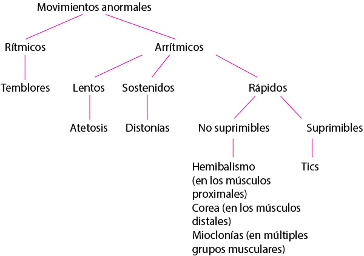 Clasificación de los trastornos hipercinéticos frecuentes
