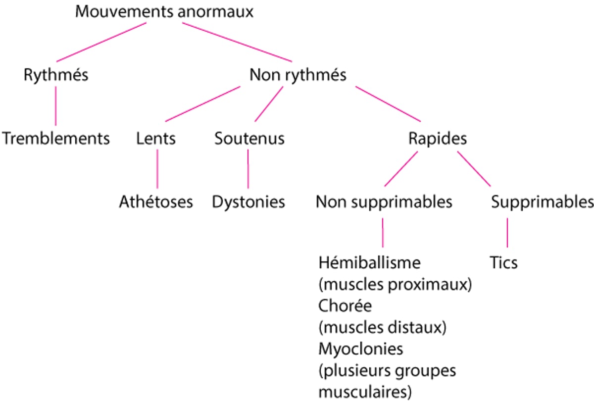Classification des troubles hyperkinétiques fréquents