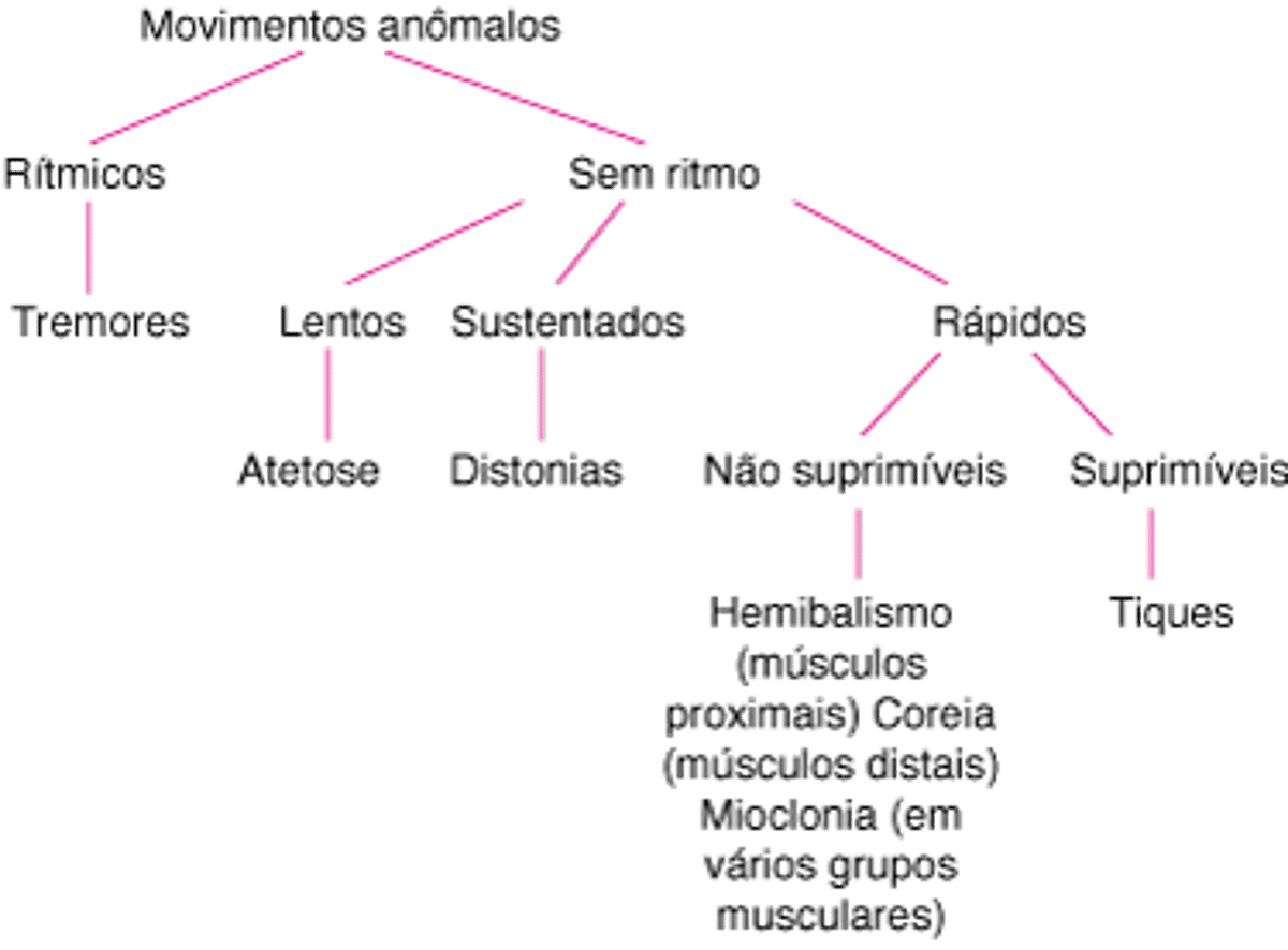 Classificação dos transtornos hipercinéticos comuns
