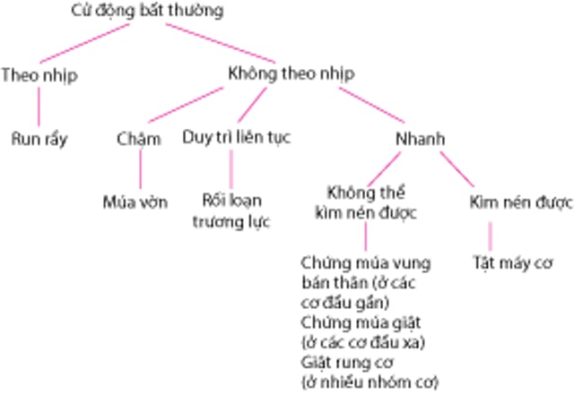 Phân loại rối loạn tăng động thông thường