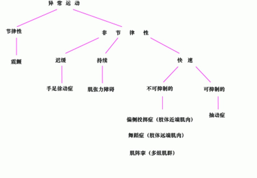 常见多动障碍的分类
