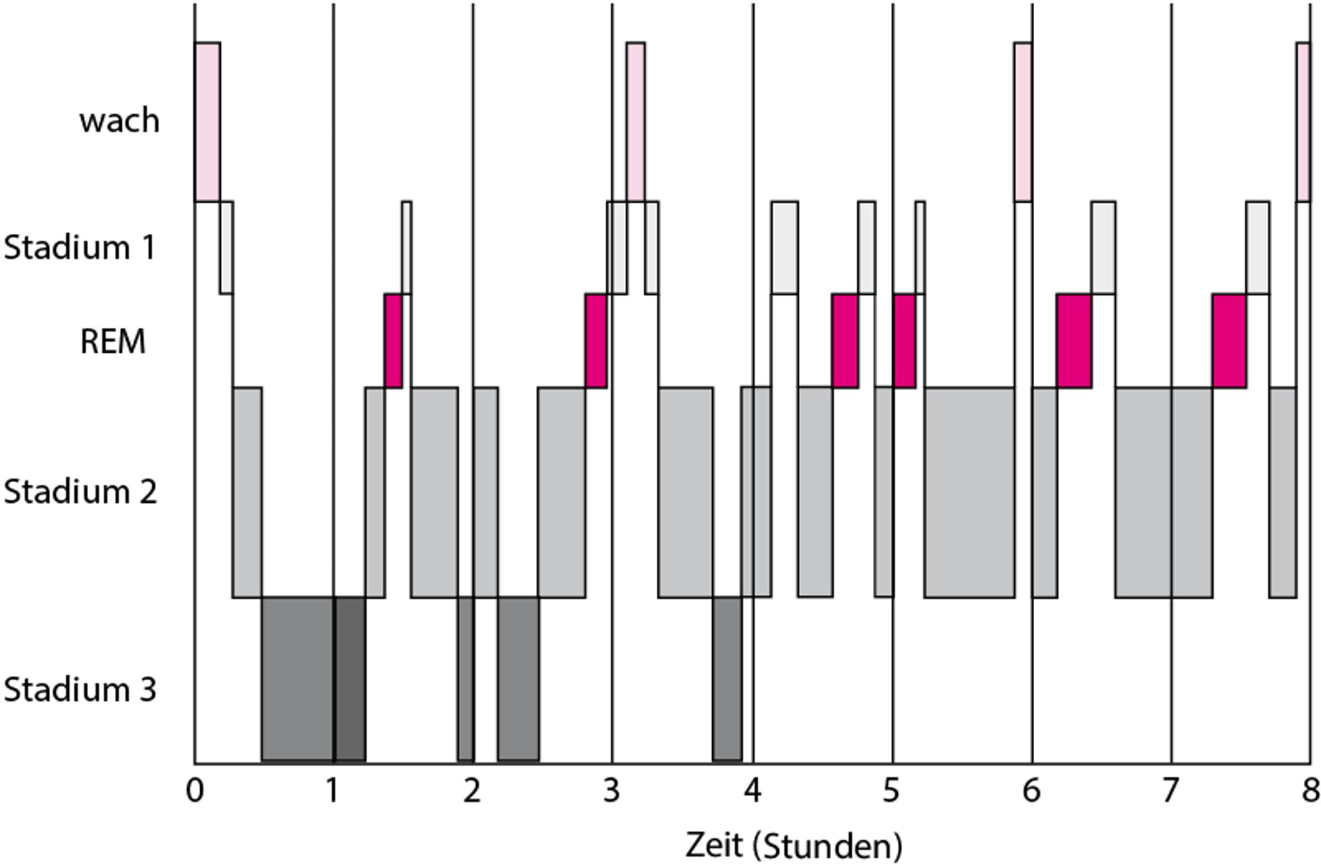 Typische Schlafmuster bei jungen Erwachsenen