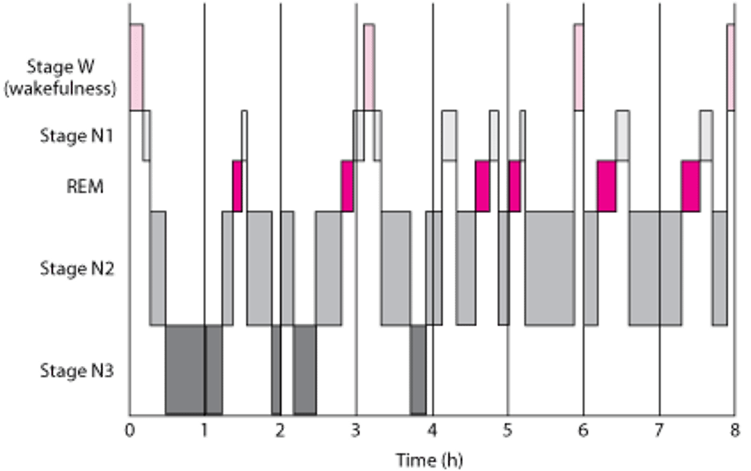 Типовий характер сну у молодих людей