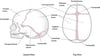 Sutures du crâne (calvariales)