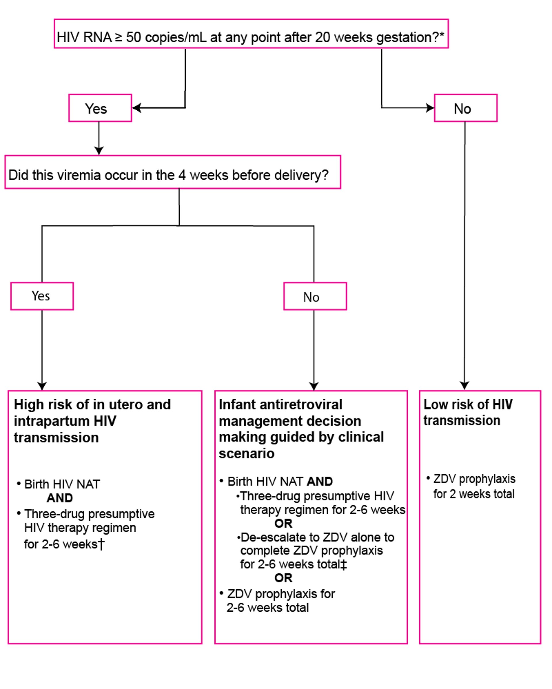 Antiretroviral Management for Infants With In Utero or Intrapartum HIV Exposure by Risk of HIV Transmission