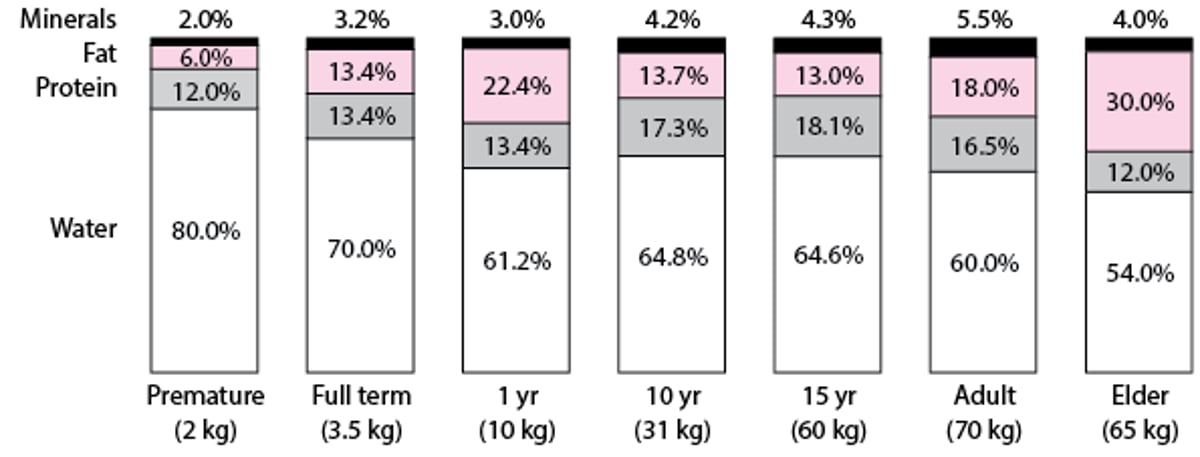 Changes in Body Composition With Growth and Aging