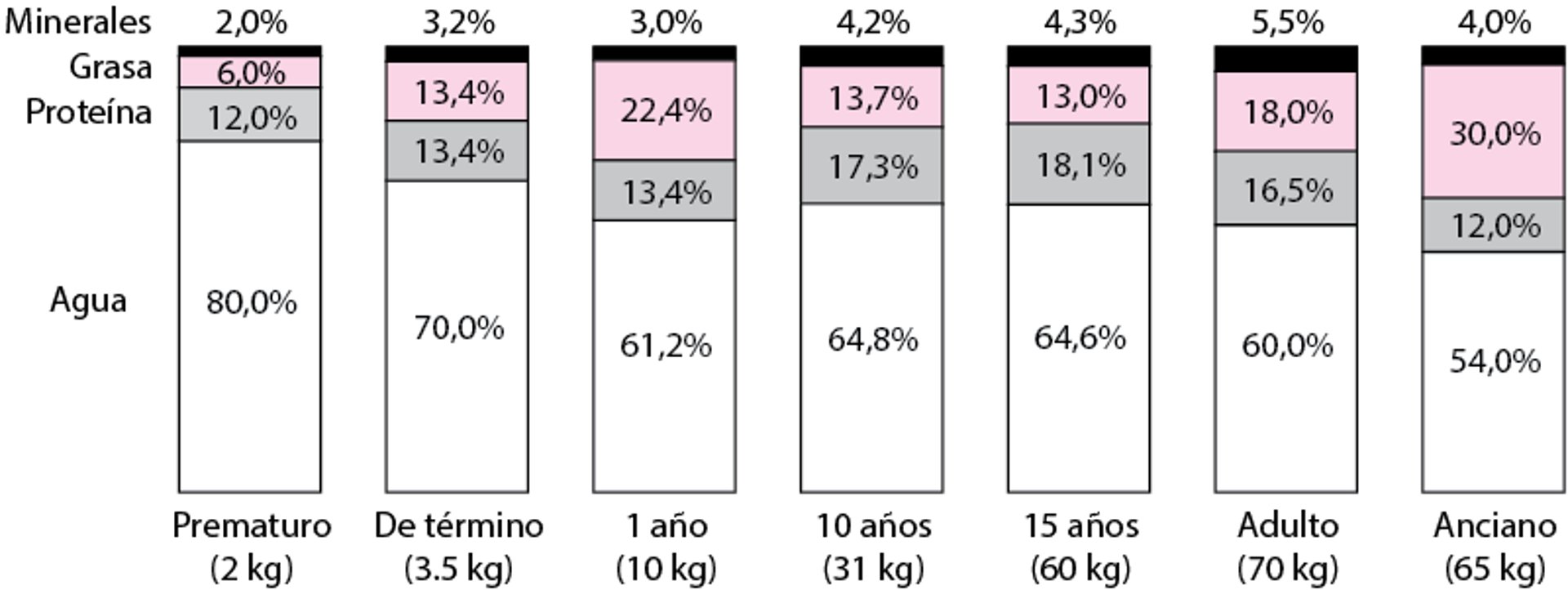 Cambios en la composición corporal con el crecimiento y el envejecimiento