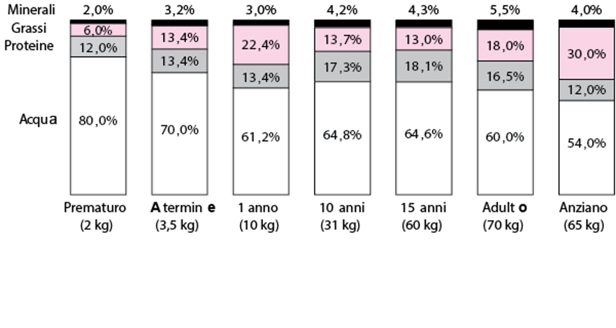 Variazioni nella composizione del corpo con la crescita e con l'invecchiamento