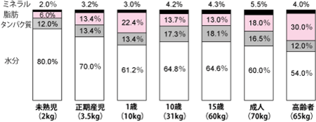 成長および年齢に伴う身体組成の変化