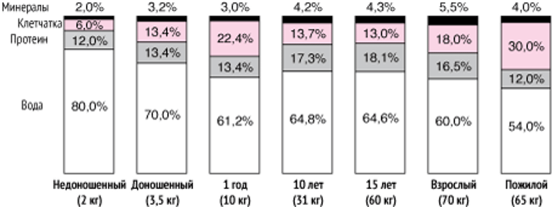Изменения в теле в процессе роста и старения