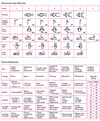 Assessment of Gestational Age—New Ballard Score