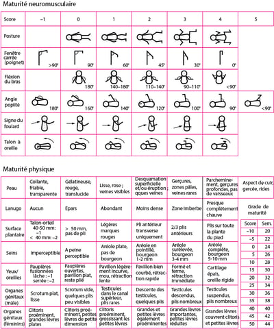 Évaluation de l'âge gestationnel, nouveau score de Ballard