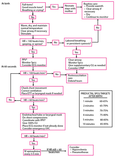 Algorithm for Resuscitation of Neonates