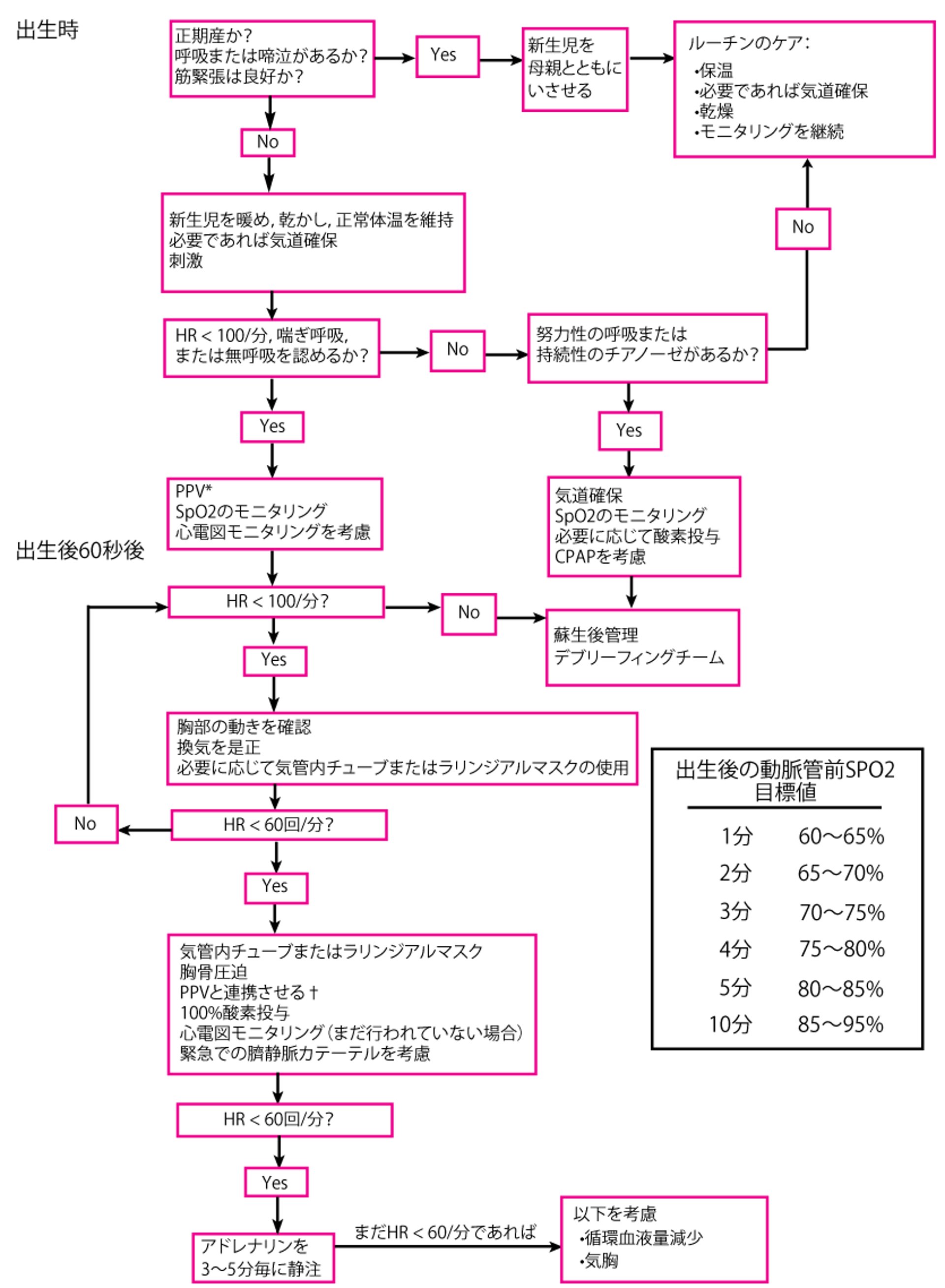 新生児蘇生のアルゴリズム