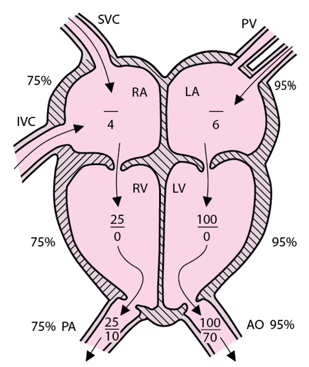 Circolazione normale con pressioni cardiache indicative destre e sinistre (in mmHg)