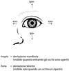 Deviazioni oculari nello strabismo
