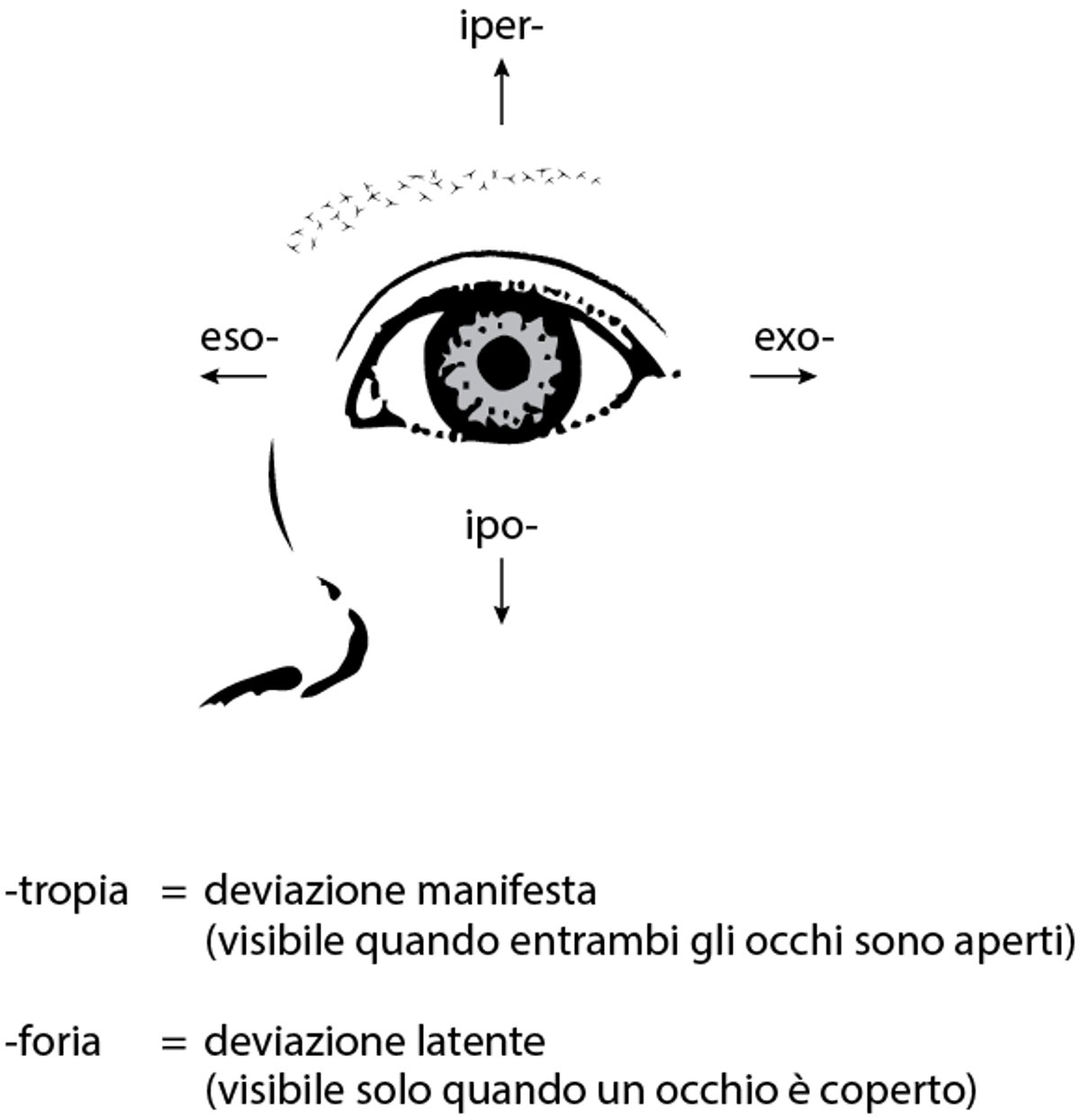 Deviazioni oculari nello strabismo