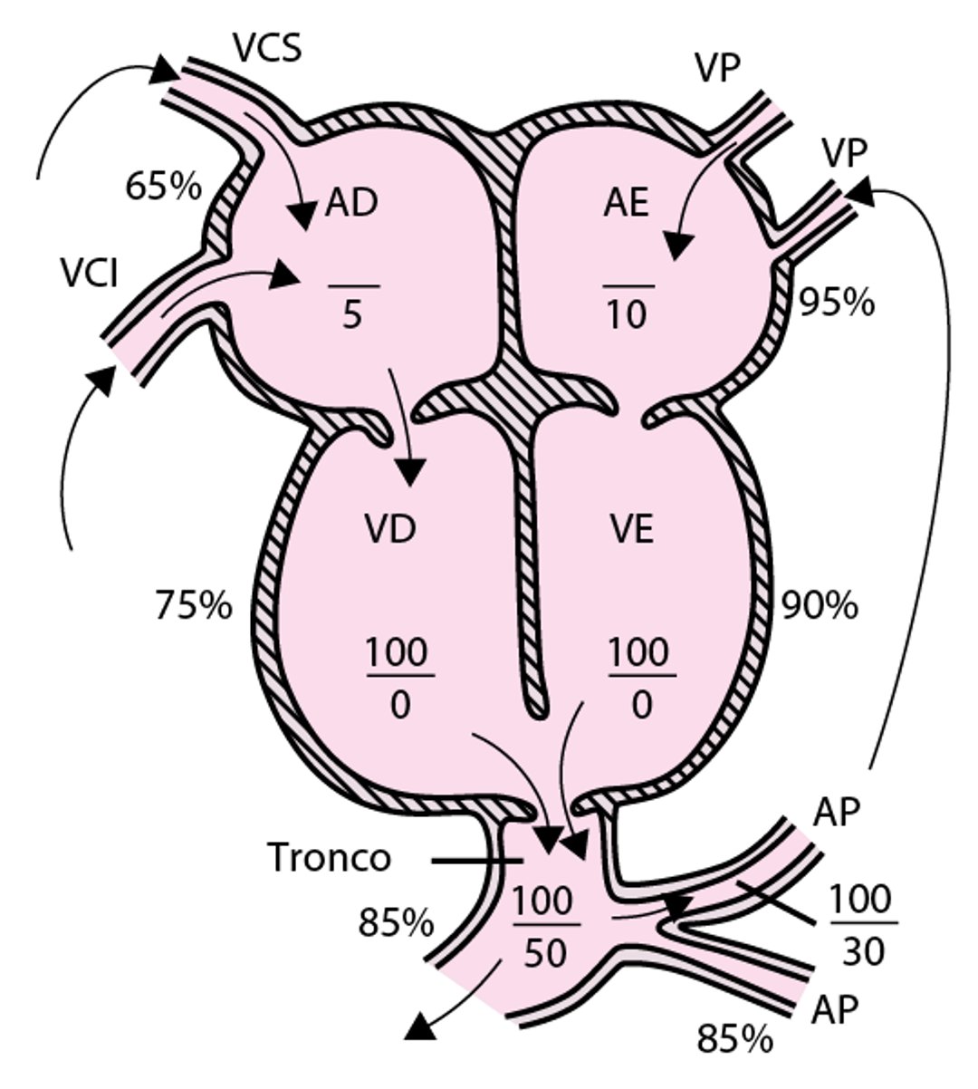 Tronco arterioso