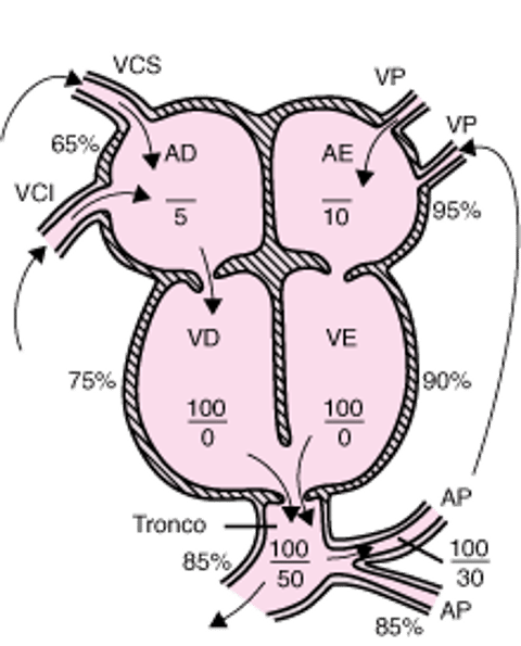 Tronco arterioso