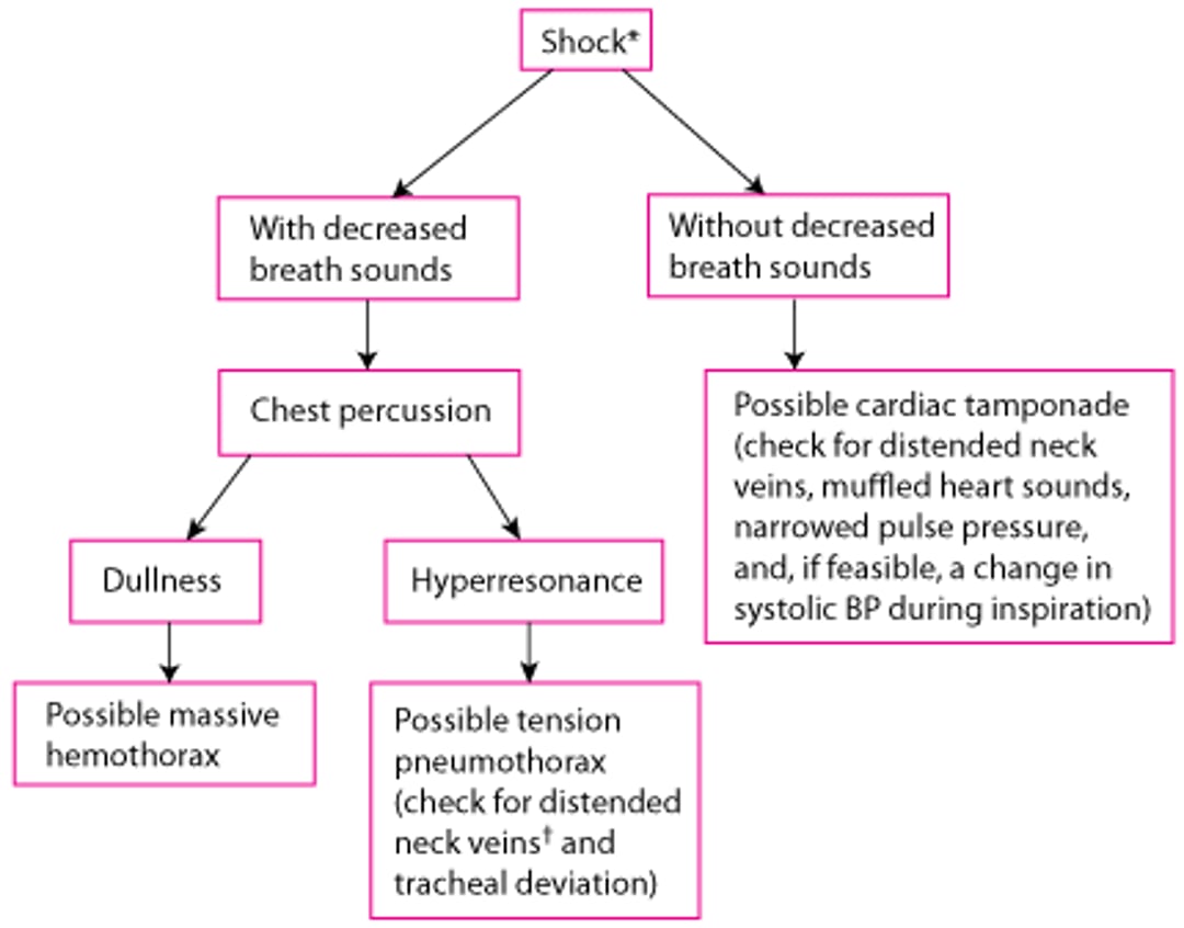 A Simplified, Rapid Assessment for Chest Injuries in Patients With Shock During the Primary Survey
