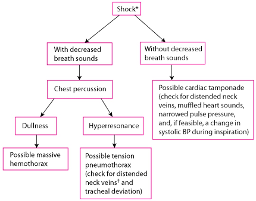 Una semplice, rapida valutazione per lesioni toraciche nei pazienti con shock durante l'esame primario