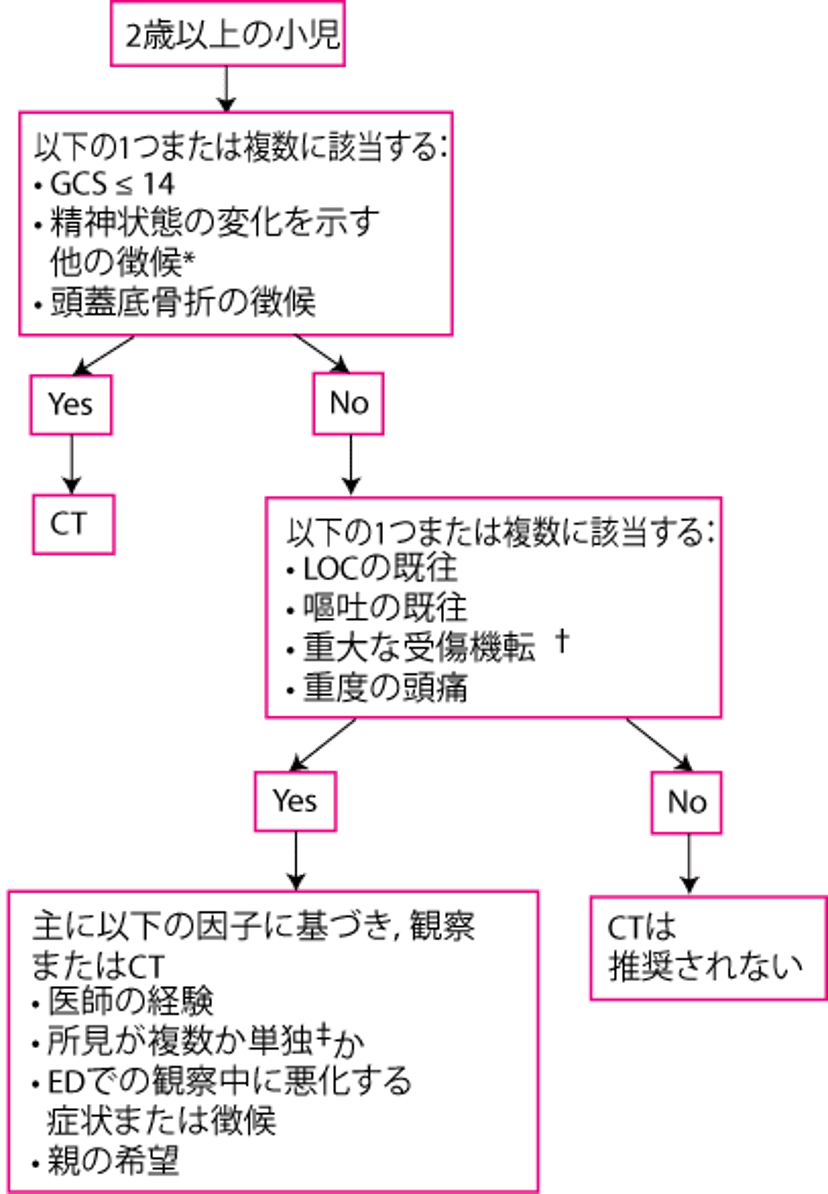 頭部損傷のある2歳以上の小児の評価