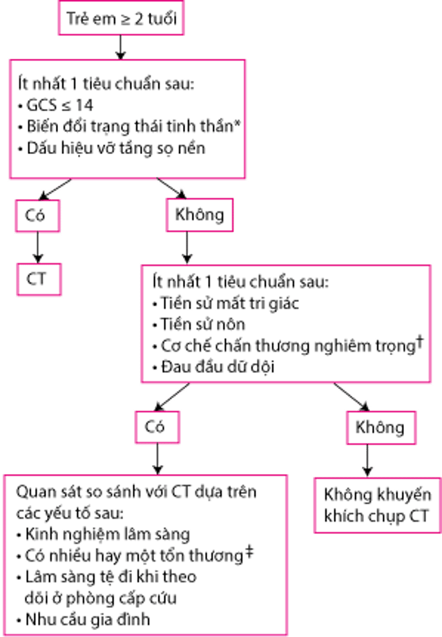 Đánh giá Trẻ em <span class='symbol' >≥</span> 2 tuổi có chấn thương đầu