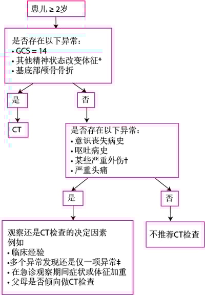 ≥2岁儿童头部受伤的评估