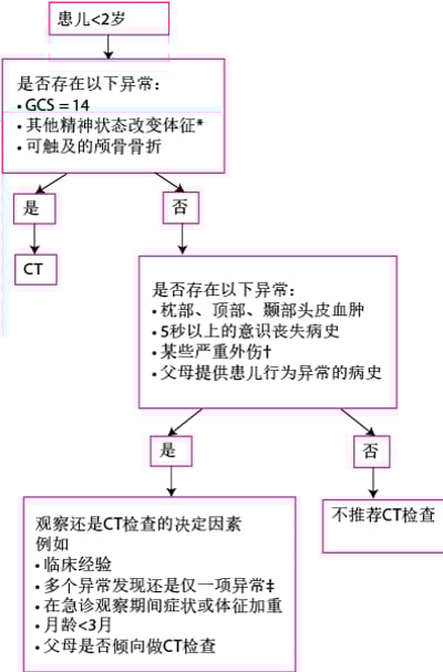 0~2岁头部外伤患儿的评估