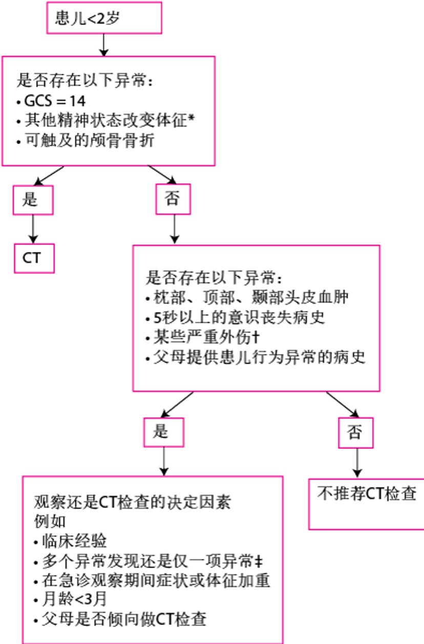 0~2岁头部外伤患儿的评估
