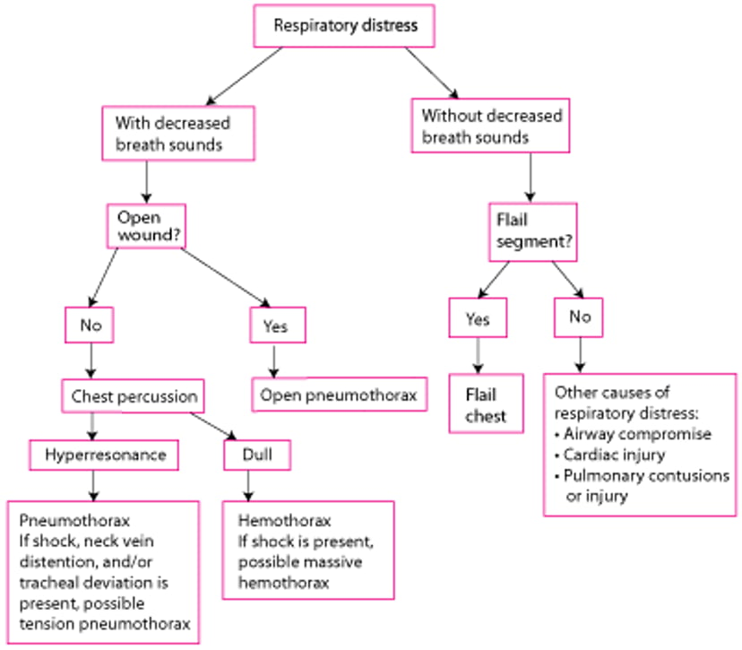 A Simplified, Rapid Assessment of Patients With Thoracic Trauma and Respiratory Distress During the Primary Survey