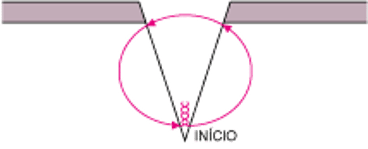 Sutura dérmica profunda simples