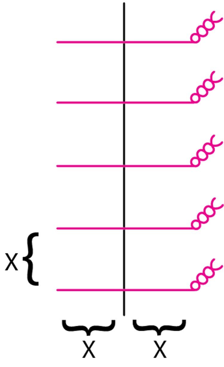 Separación de los puntos