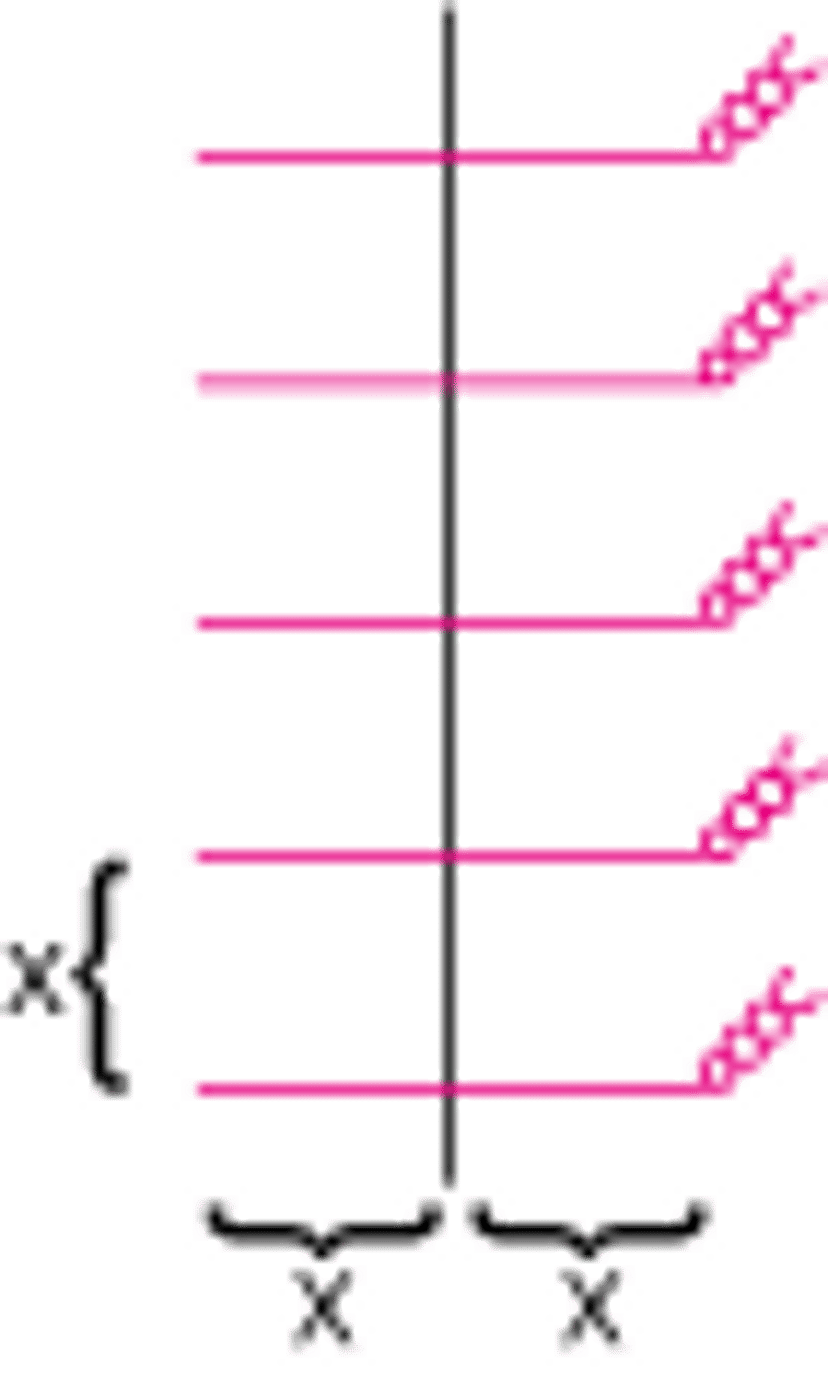 Espaçamento das suturas