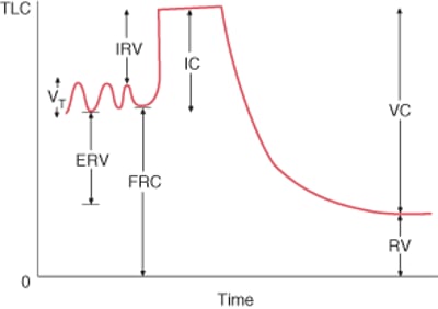 Normal Lung Volumes