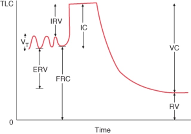 Normal Lung Volumes