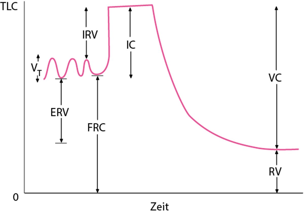Normale Lungenkapazitäten