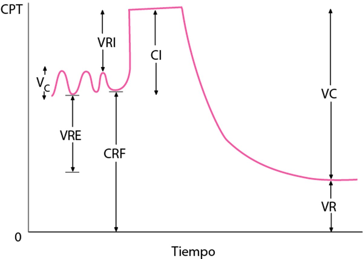 Volúmenes pulmonares normales