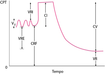 Volumes pulmonares normais