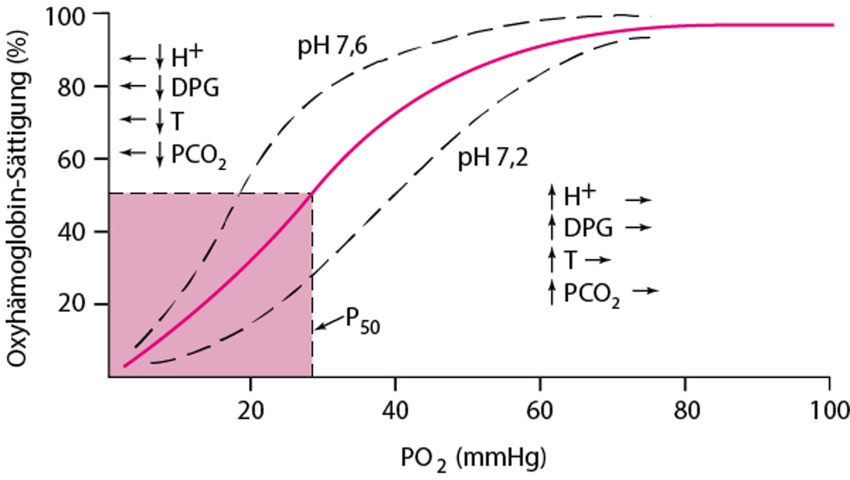 Oxyhemoglobin-Dissoziationskurve