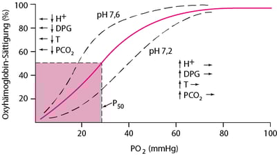 Oxyhemoglobin-Dissoziationskurve