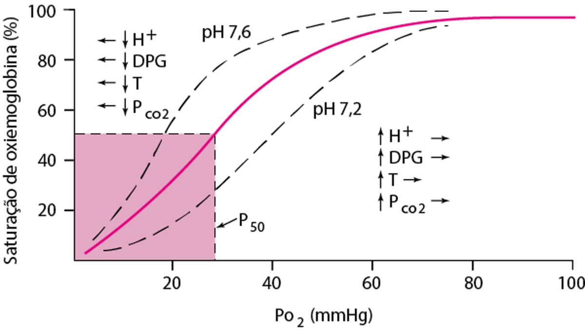 Curva de dissociação da oxi-hemoglobina