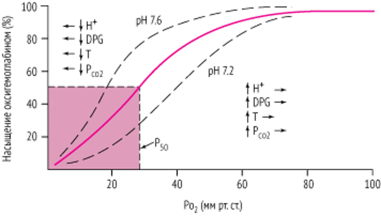 Кривая диссоциация оксигемоглобина