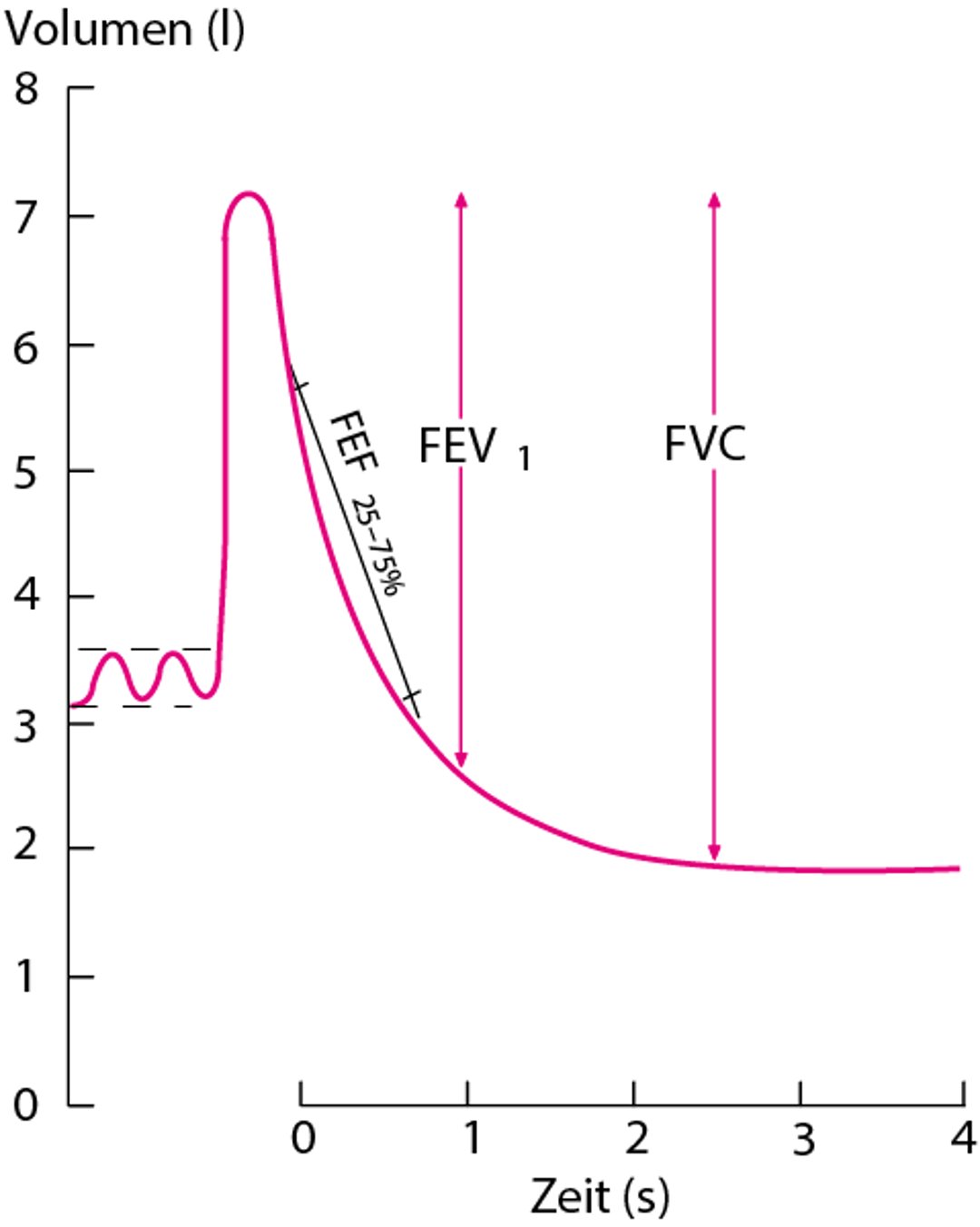 Normales Spirogramm