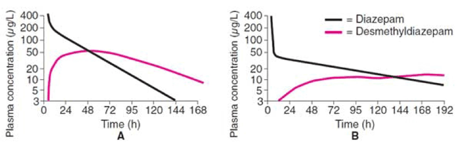 Сравнение фармакокинетики диазепама у молодого (А) и пожилого (В) пациента