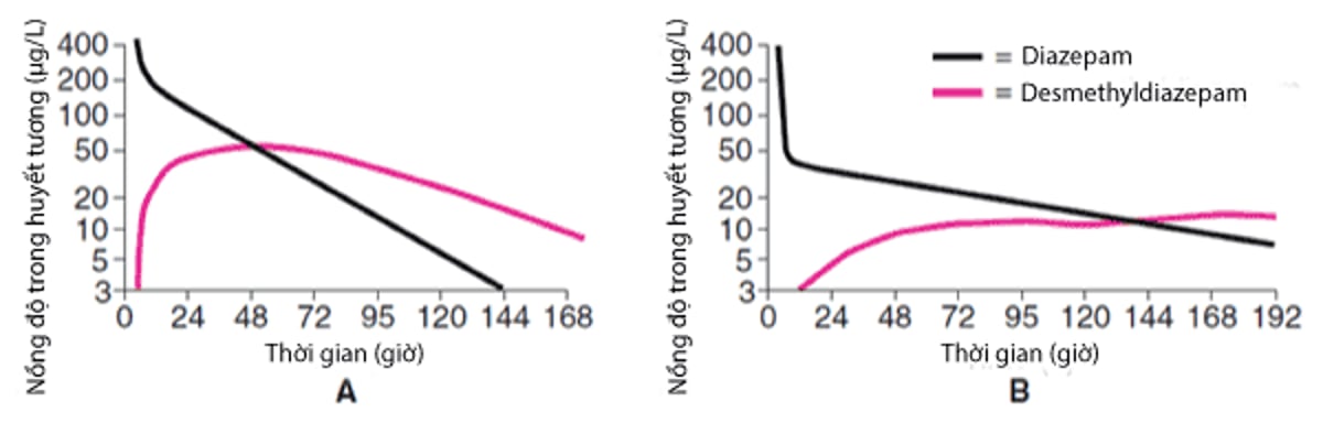 So sánh kết quả dược động học của Diazepam ở nam giới trẻ tuổi (A) và nam giới lớn tuổi (B)