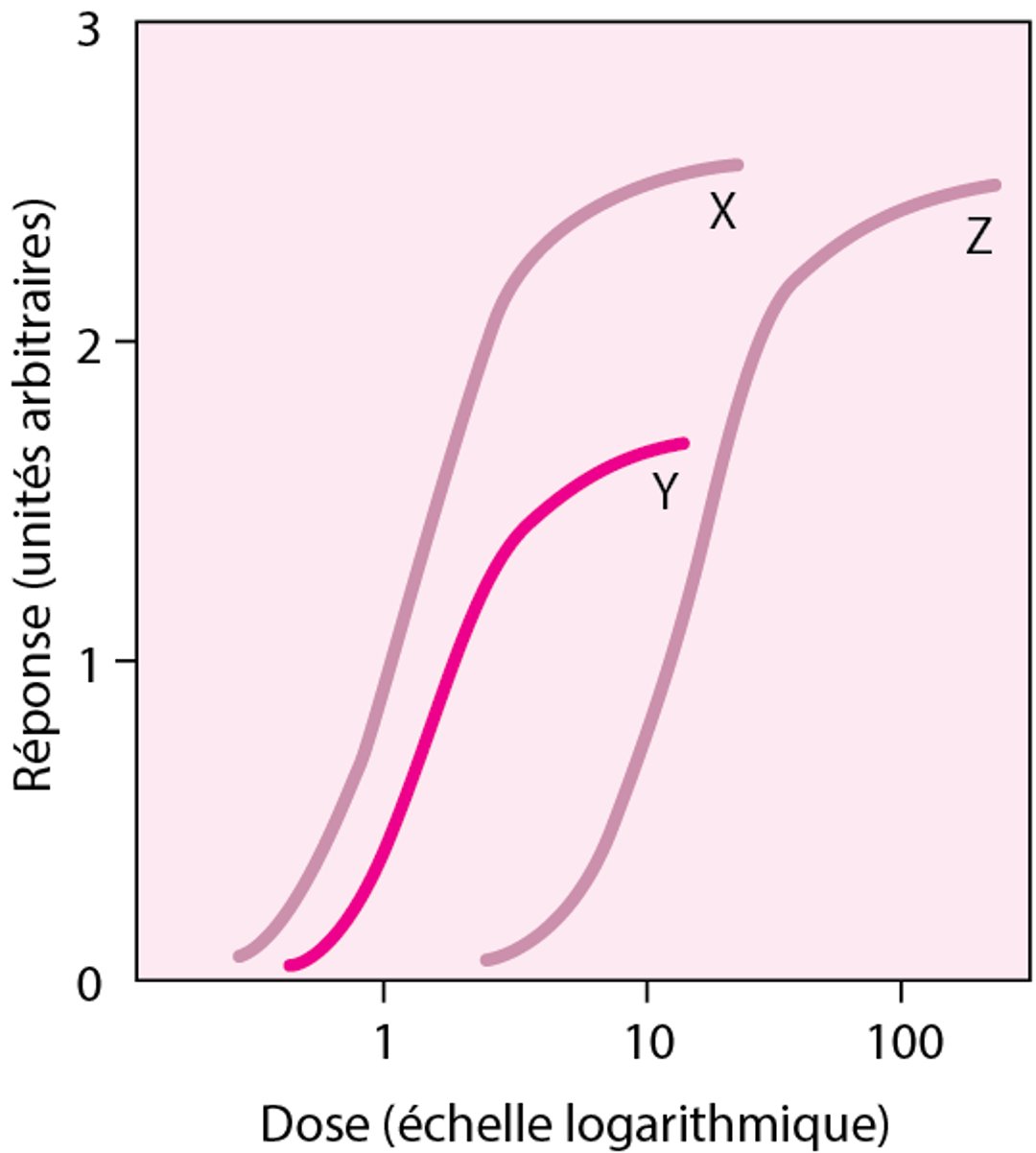 Comparaison des courbes dose-effet des médicaments X, Y et Z