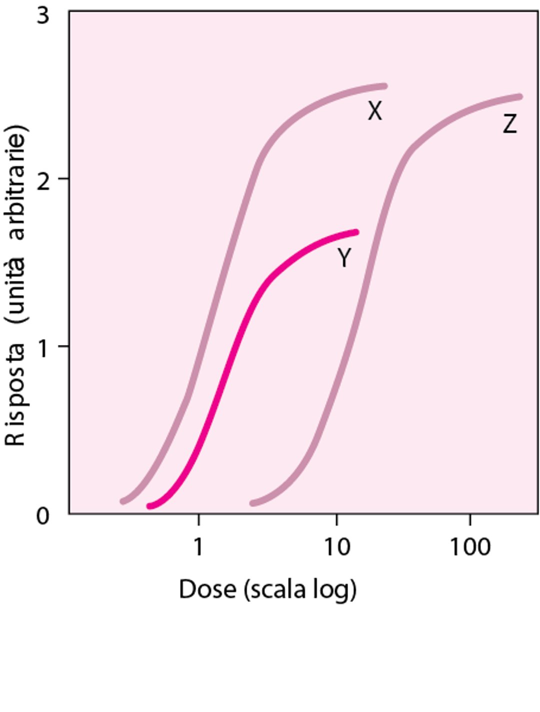 Confronto delle curve dose-risposta dei farmaci X, Y e Z